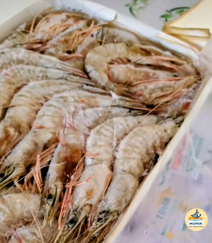 Fresh Prawns
